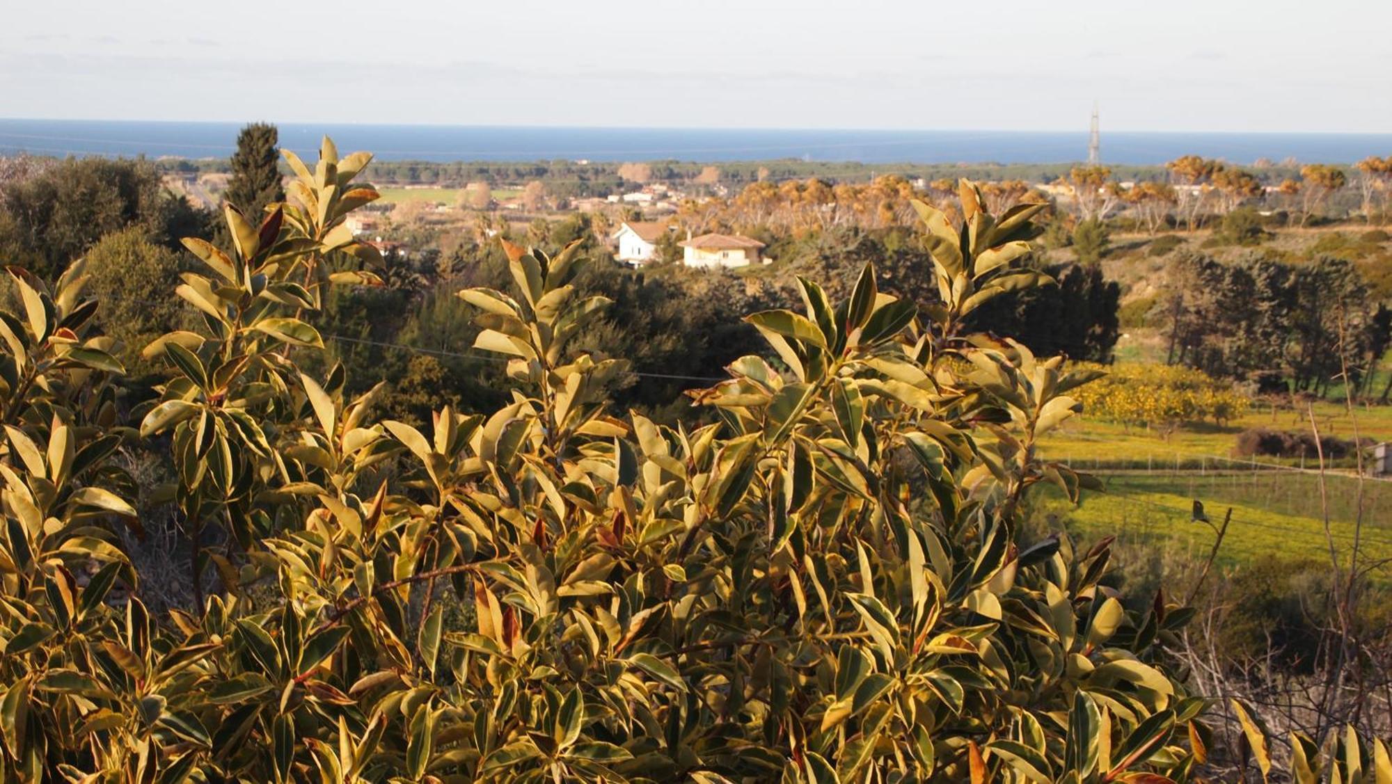 Asinara Villa Sassari Exterior photo